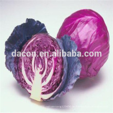 Rotkohl-Farbe